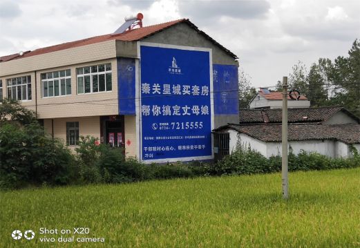 开封决定墙体广告价格的因素有哪些?