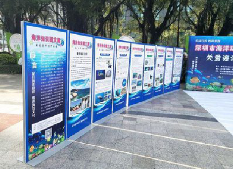 开封KT板的种类和知识。